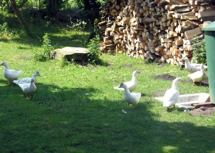 An Der Muehle Fami Apartment Sellin (Rugen)